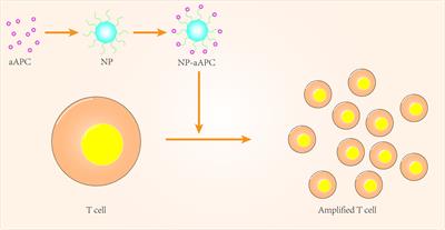 A new approach to overcoming resistance to immunotherapy: nanotechnology